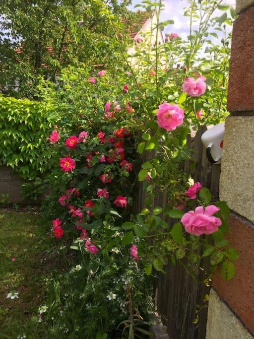 Ferienhaus Mit Garten In Thermennaehe Strebersdorf Zewnętrze zdjęcie