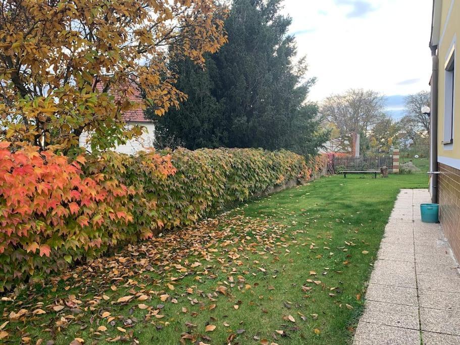 Ferienhaus Mit Garten In Thermennaehe Strebersdorf Zewnętrze zdjęcie